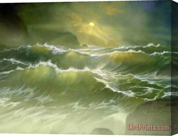 Robert Foster Emerald Sea Stretched Canvas Painting / Canvas Art