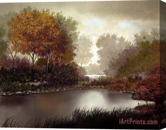 Robert Foster Fall Waters Stretched Canvas Painting / Canvas Art