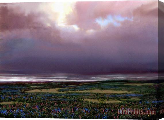 Robert Foster Flower Beach Stretched Canvas Print / Canvas Art