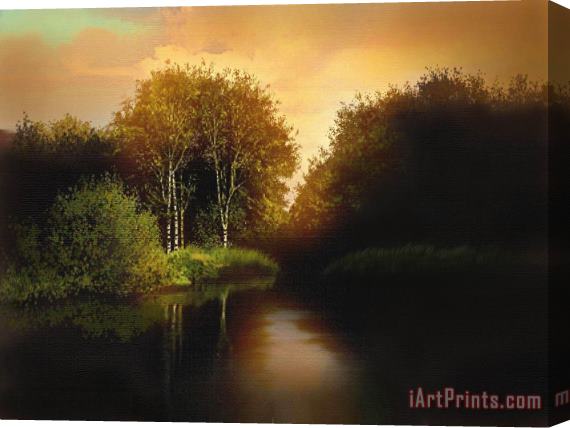 Robert Foster Lake Trees Stretched Canvas Print / Canvas Art