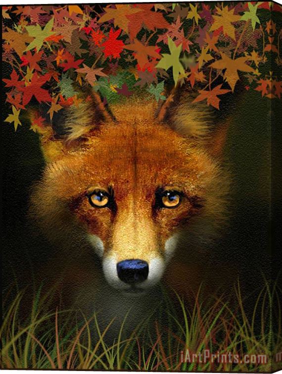 Robert Foster Leaf Fox Stretched Canvas Painting / Canvas Art