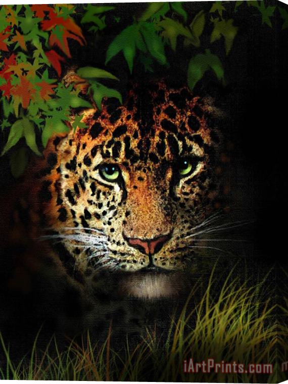 Robert Foster Leopard Stretched Canvas Print / Canvas Art