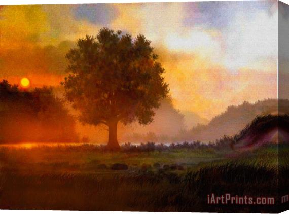Robert Foster Lone Tree Stretched Canvas Print / Canvas Art