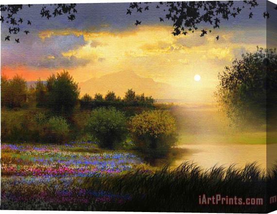 Robert Foster Meadow Light Stretched Canvas Painting / Canvas Art