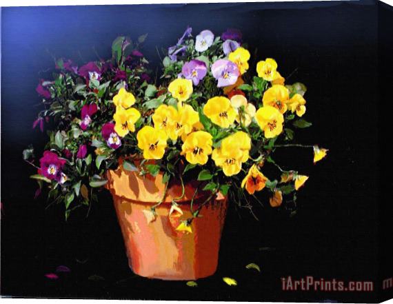 Robert Foster Mini Pansy Pot Stretched Canvas Painting / Canvas Art