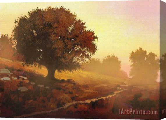 Robert Foster Mystic Oak Stretched Canvas Painting / Canvas Art