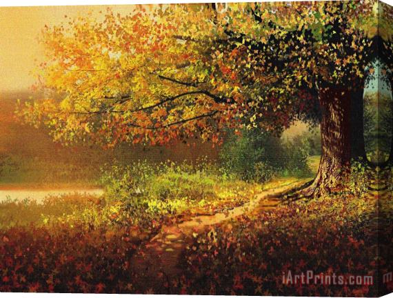 Robert Foster Old Path Stretched Canvas Print / Canvas Art
