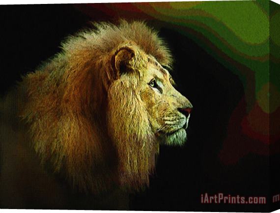 Robert Foster Profile of the King Stretched Canvas Painting / Canvas Art