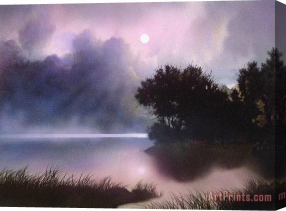 Robert Foster Rain Lake Stretched Canvas Print / Canvas Art