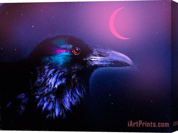 Robert Foster Red Moon Raven Stretched Canvas Painting / Canvas Art
