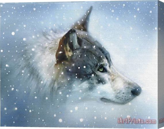 Robert Foster Snow Eyes Stretched Canvas Painting / Canvas Art