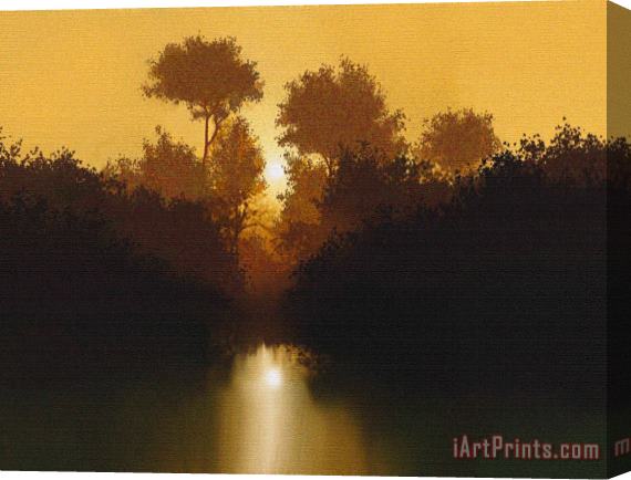Robert Foster Still Pond Stretched Canvas Print / Canvas Art