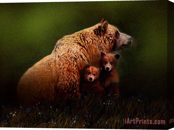 Robert Foster Three Bears Stretched Canvas Print / Canvas Art
