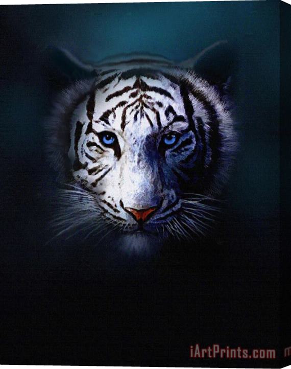Robert Foster Tiger Eyes Stretched Canvas Painting / Canvas Art