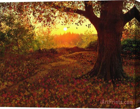Robert Foster Tree Leaves Stretched Canvas Print / Canvas Art