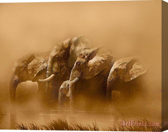 Robert Foster Watering Hole Stretched Canvas Painting / Canvas Art