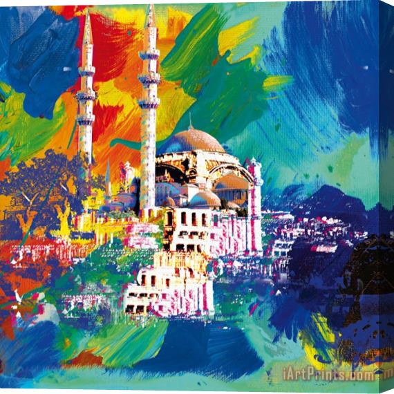Robert Holzach Istanbul Stretched Canvas Painting / Canvas Art
