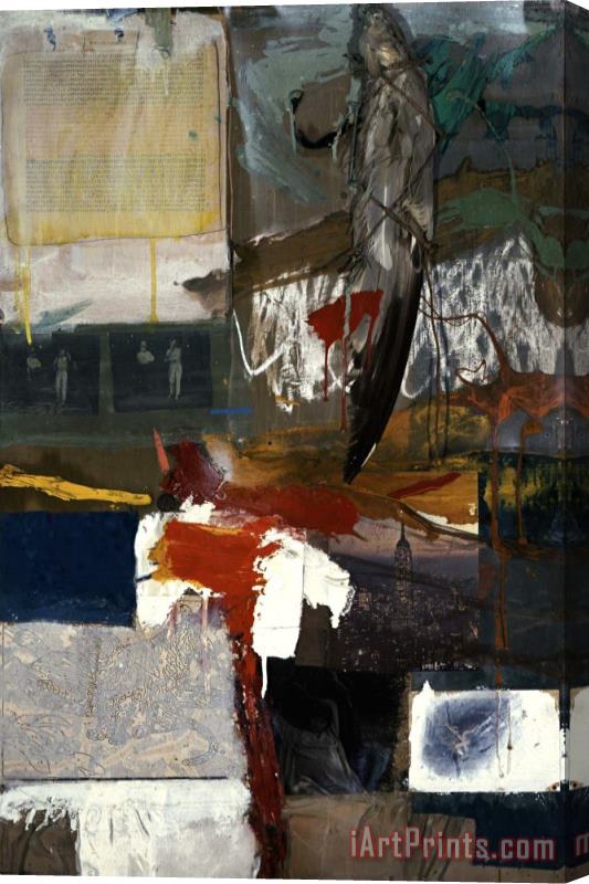 Robert Rauschenberg Painting with Grey Wing, 1959 Stretched Canvas Print / Canvas Art