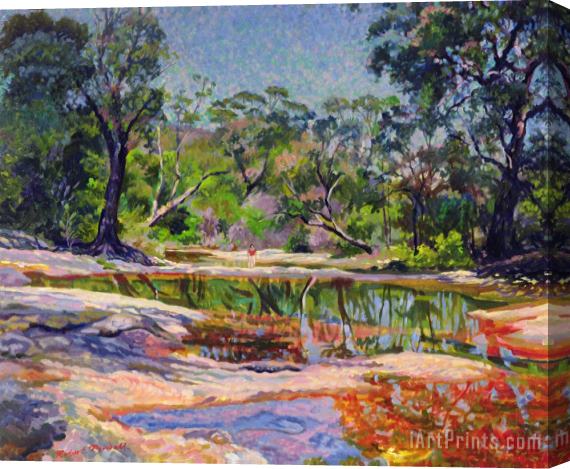 Robert Tyndall Wirreanda Creek - New South Wales - Australia Stretched Canvas Painting / Canvas Art