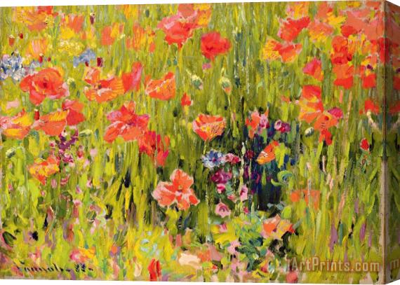 Robert William Vonnoh Poppies Stretched Canvas Painting / Canvas Art