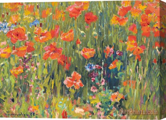 Robert William Vonnoh Poppies Stretched Canvas Print / Canvas Art