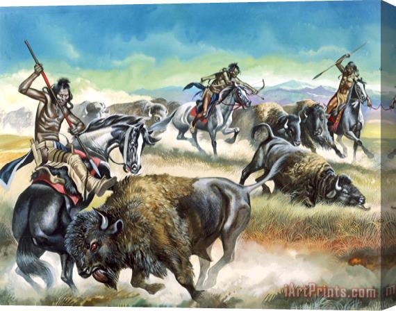 Ron Embleton Native American Indians killing American Bison Stretched Canvas Print / Canvas Art