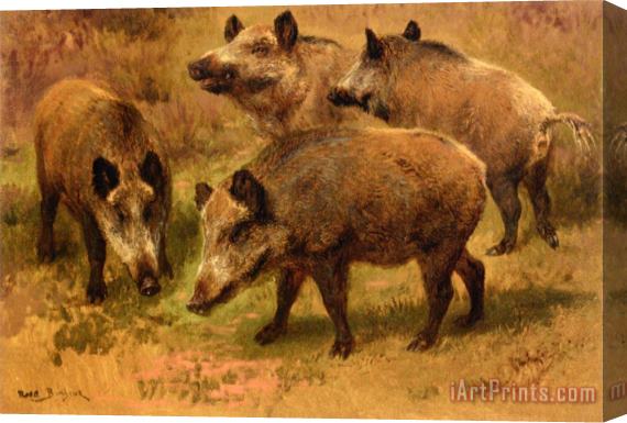 Rosa Bonheur Four Boars in a Landscape Stretched Canvas Painting / Canvas Art