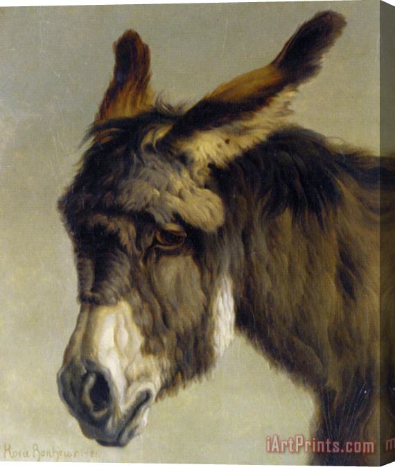 Rosa Bonheur Head of a Donkey Stretched Canvas Painting / Canvas Art