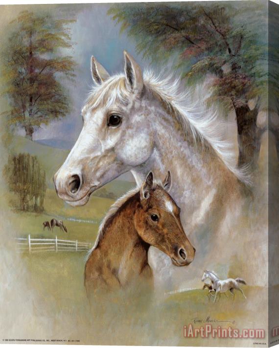 Ruane Manning Dapple Mare And Fowl Stretched Canvas Print / Canvas Art