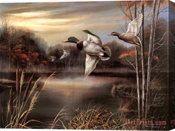 Ruane Manning Morning Call Stretched Canvas Painting / Canvas Art