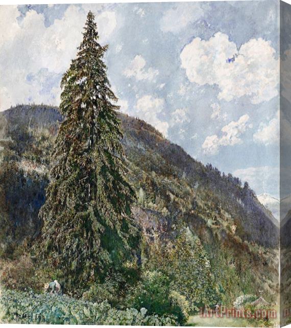 Rudolf von Alt The Old Spruce in Bad Gastein Stretched Canvas Print / Canvas Art