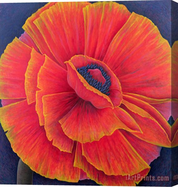 Ruth Addinall Big Poppy Stretched Canvas Painting / Canvas Art