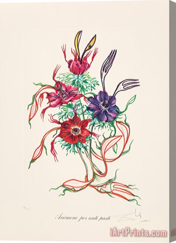Salvador Dali Anenome Per Anti Pasti, From Florals, 1972 Stretched Canvas Print / Canvas Art