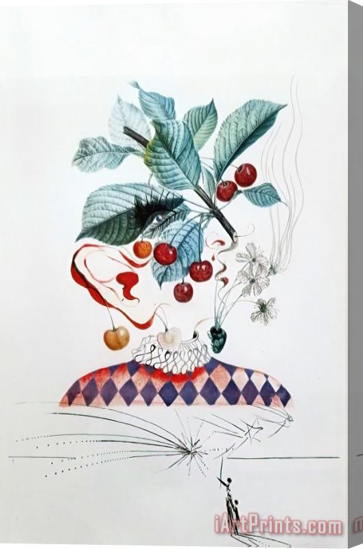 Salvador Dali Cerises Pierrot (cherries), 1969 Stretched Canvas Print / Canvas Art