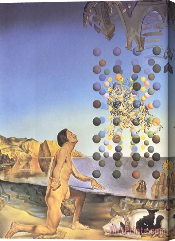 Salvador Dali Dali Nude in Contemplation Before The Five Regular Bodies Stretched Canvas Print / Canvas Art