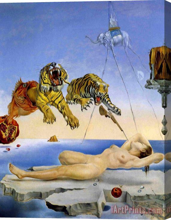 Salvador Dali Dream Caused by The Flight of a Bee Around a Pomegranate One Second Before Awakening Stretched Canvas Print / Canvas Art