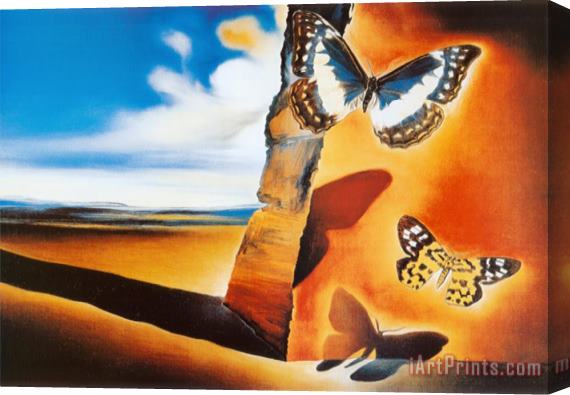 Salvador Dali Landscape with Butterflies Stretched Canvas Painting / Canvas Art
