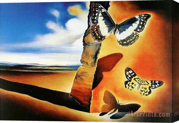 Salvador Dali Paysage Aux Papillons Stretched Canvas Print / Canvas Art
