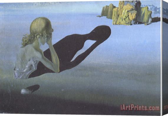 Salvador Dali Remorse Or Sphinx Embedded in The Sand Stretched Canvas Print / Canvas Art