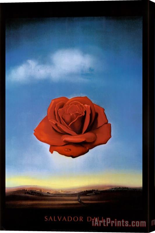 Salvador Dali Rose Meditative C 1958 Stretched Canvas Painting / Canvas Art