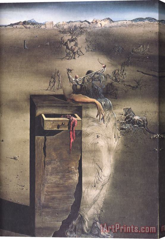 Salvador Dali Spain 1938 Stretched Canvas Print / Canvas Art