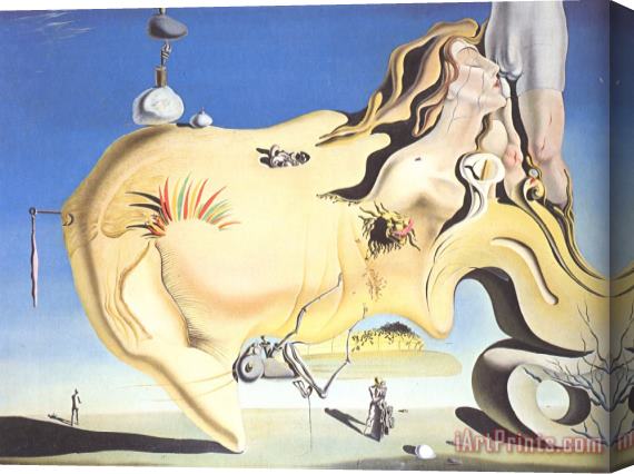Salvador Dali The Great Masturbator 1929 Stretched Canvas Print / Canvas Art
