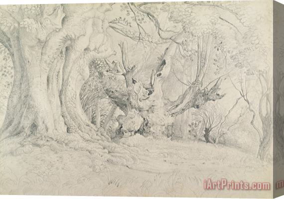 Samuel Palmer Ancient Trees Lullingstone Park Stretched Canvas Print / Canvas Art