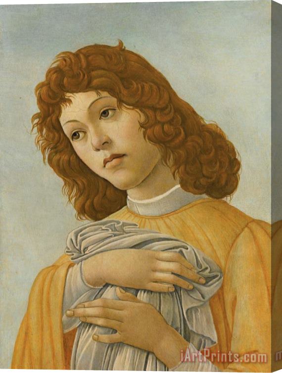 Sandro Botticelli An Angel, Head And Shoulders Stretched Canvas Print / Canvas Art