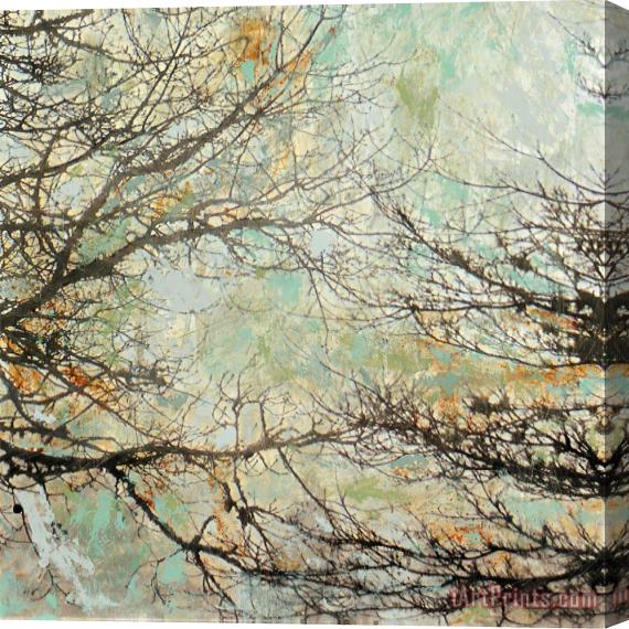 Sara Abbott Enchanted II Stretched Canvas Painting / Canvas Art