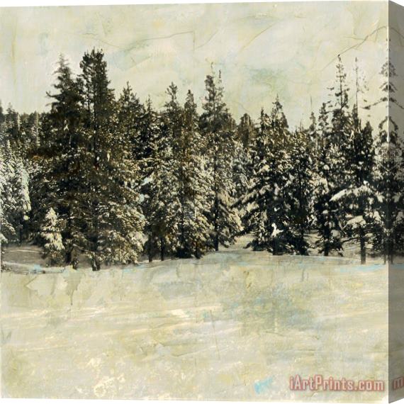 Sara Abbott Snow Trees I Stretched Canvas Print / Canvas Art