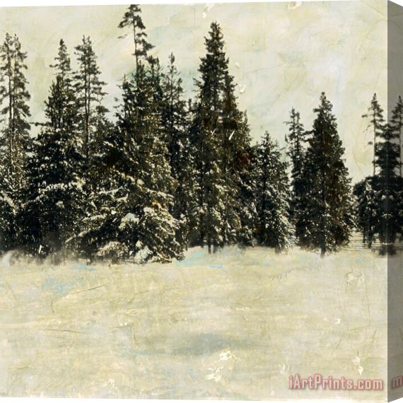 Sara Abbott Snow Trees II Stretched Canvas Print / Canvas Art