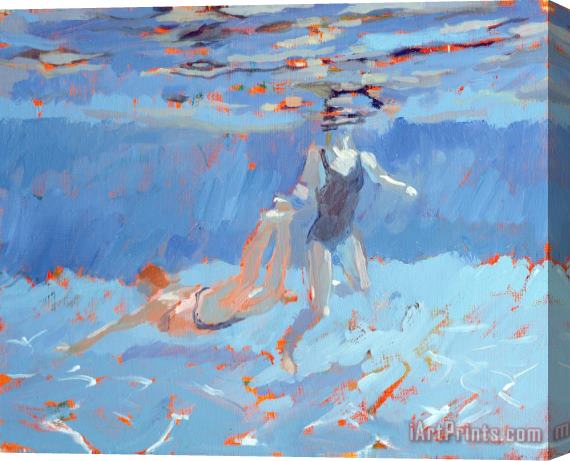Sarah Butterfield Underwater Stretched Canvas Print / Canvas Art