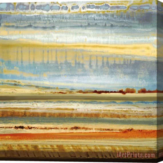 Selina Rodriguez Earth Layers I Stretched Canvas Print / Canvas Art