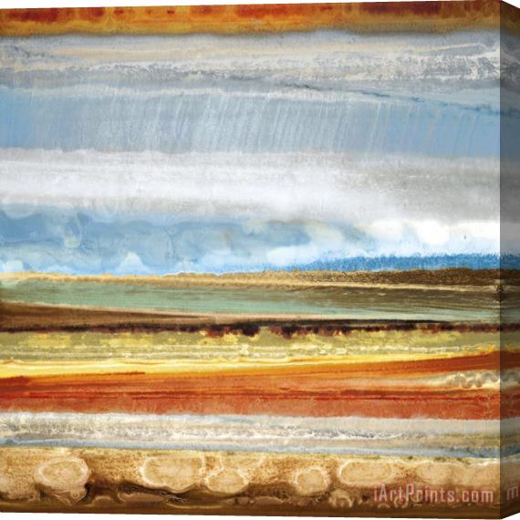 Selina Rodriguez Earth Layers II Stretched Canvas Print / Canvas Art